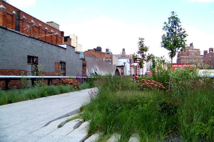 Highline things to do in New York