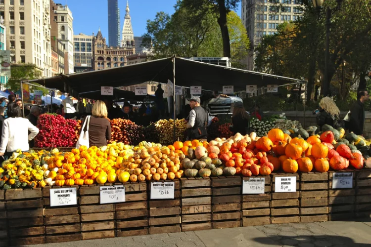 Union Square Greenmarket things to do in New York