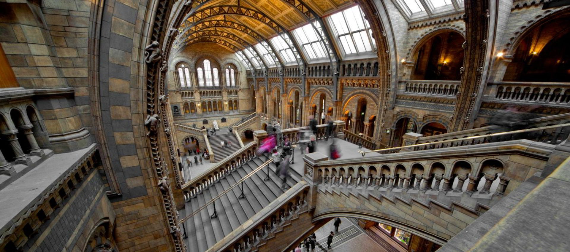 The 10 Best Museums In London | From Architecture To Quaggas