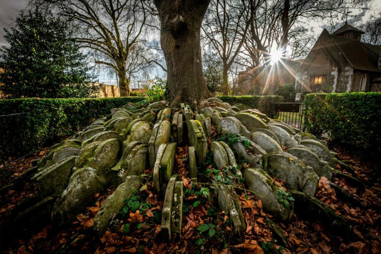 Thomas Hardy Graveyard