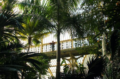 Kew Gardens | Treetop Walks, Victorian Glasshouses & A Pagoda