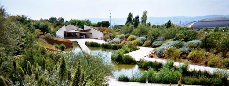 Jardi Botanic - things to do in Barcelona