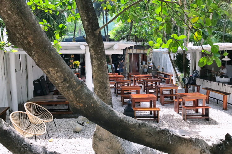 Hartwood - insiders guide to Tulum