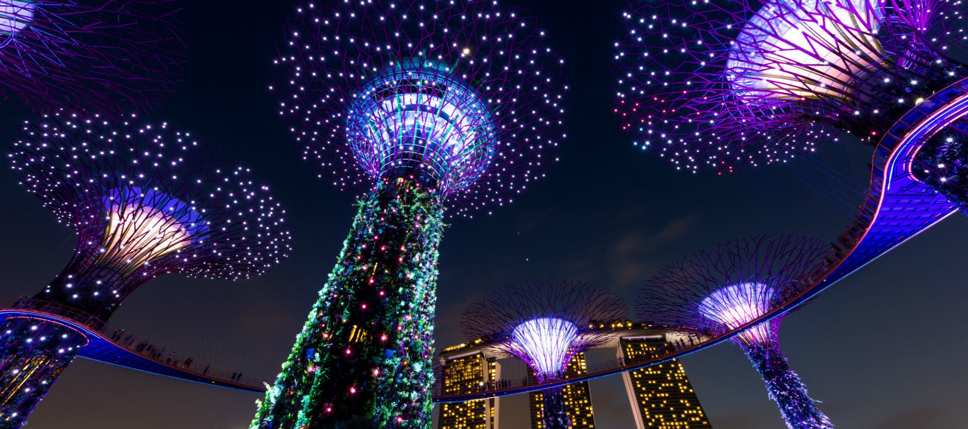 The Best Things To Do In Singapore