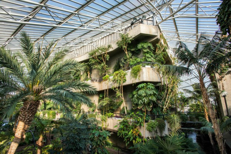 Barbican Conservatory date ideas