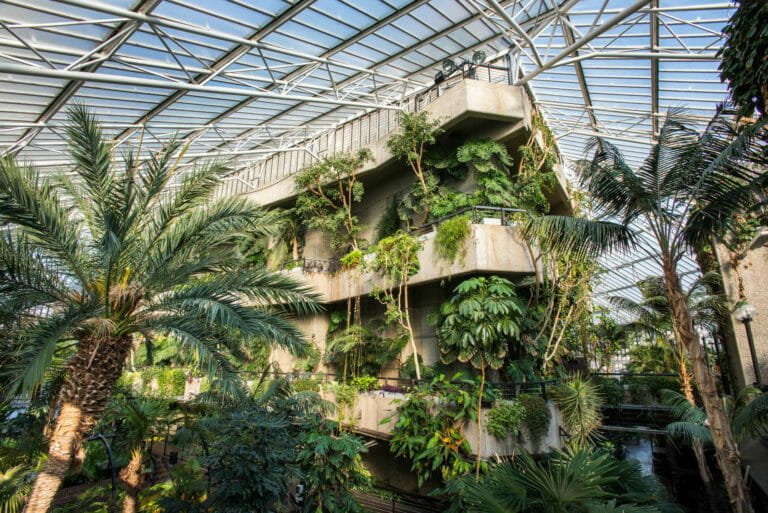 Barbican Conservatory 