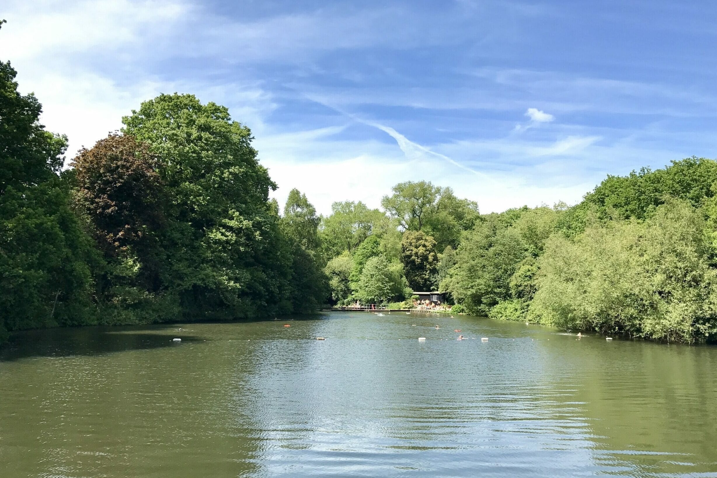 Hampstead ponds
