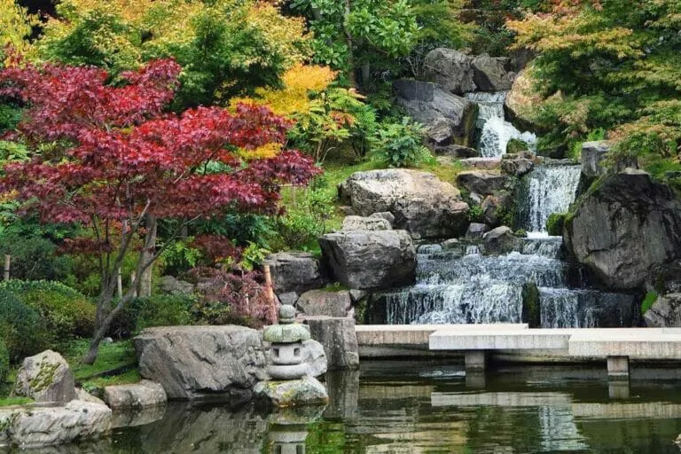 Kyoto garden sunny day london