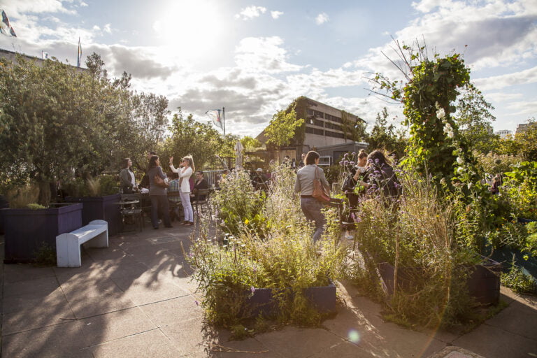 queen elizabeth rooftop garden bar