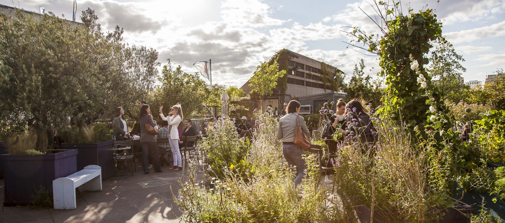 Queen Elizabeth Hall Roof Garden Bar & Café