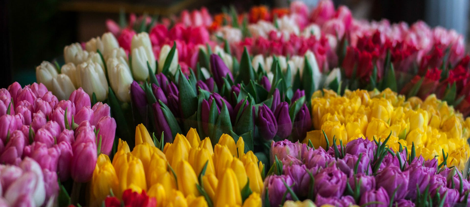 New Covent Garden Flower Market