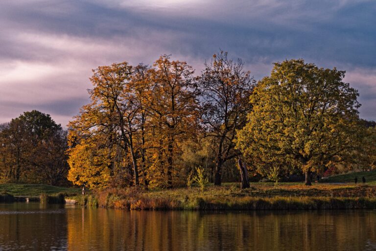 Hamptead Heath