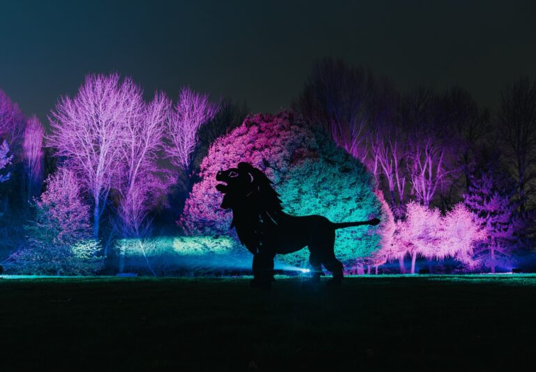 Syon Park Enchanted Woodland