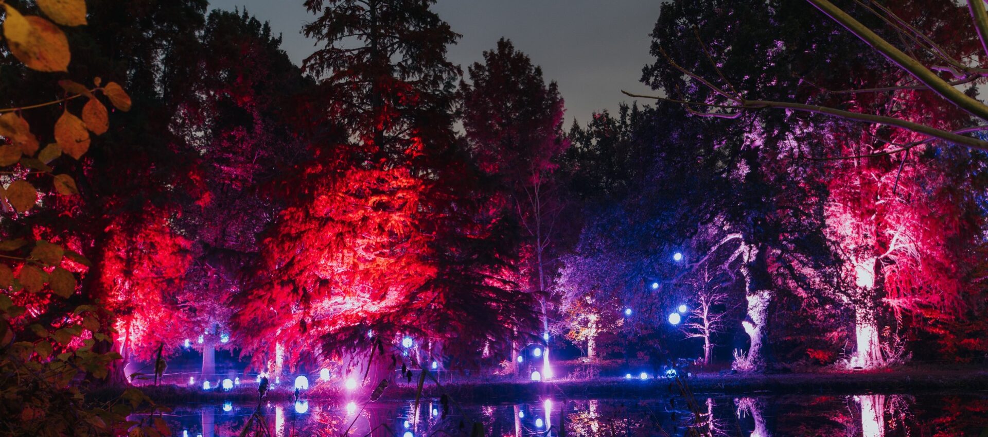 Syon Park’s Enchanted Woodland