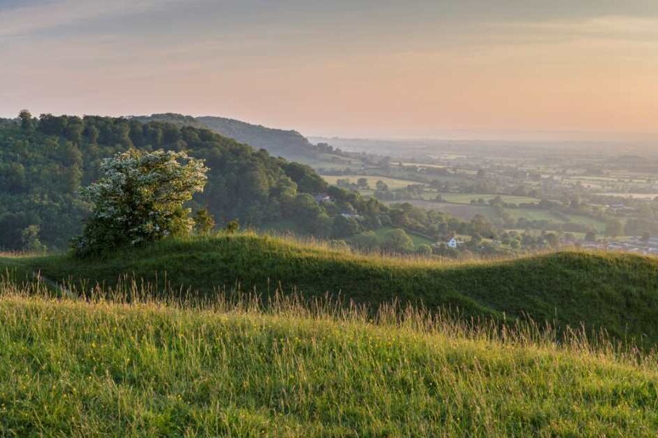 The Cotswolds 