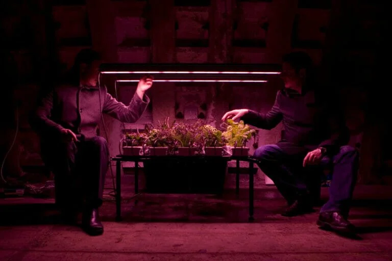 growing underground farm clapham