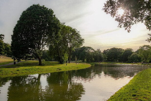 beckenham wild swimming