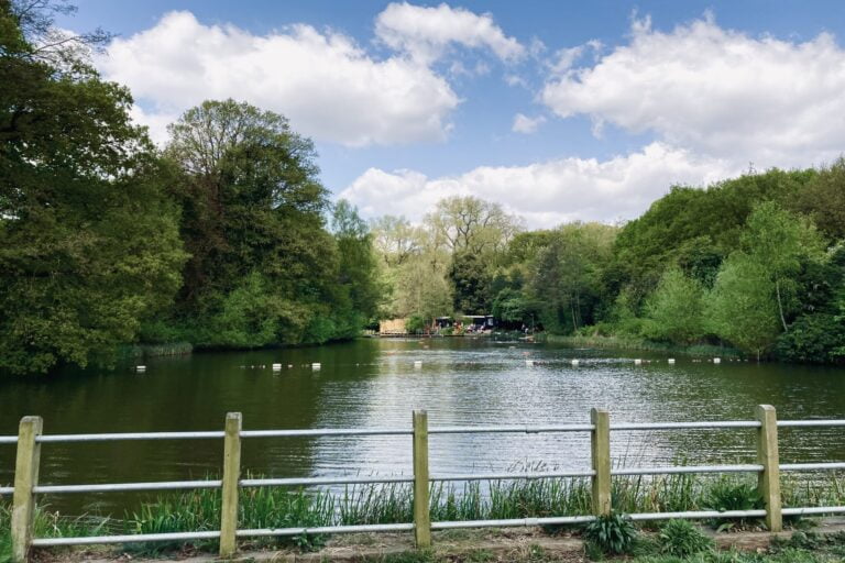 hampstead heath ponds