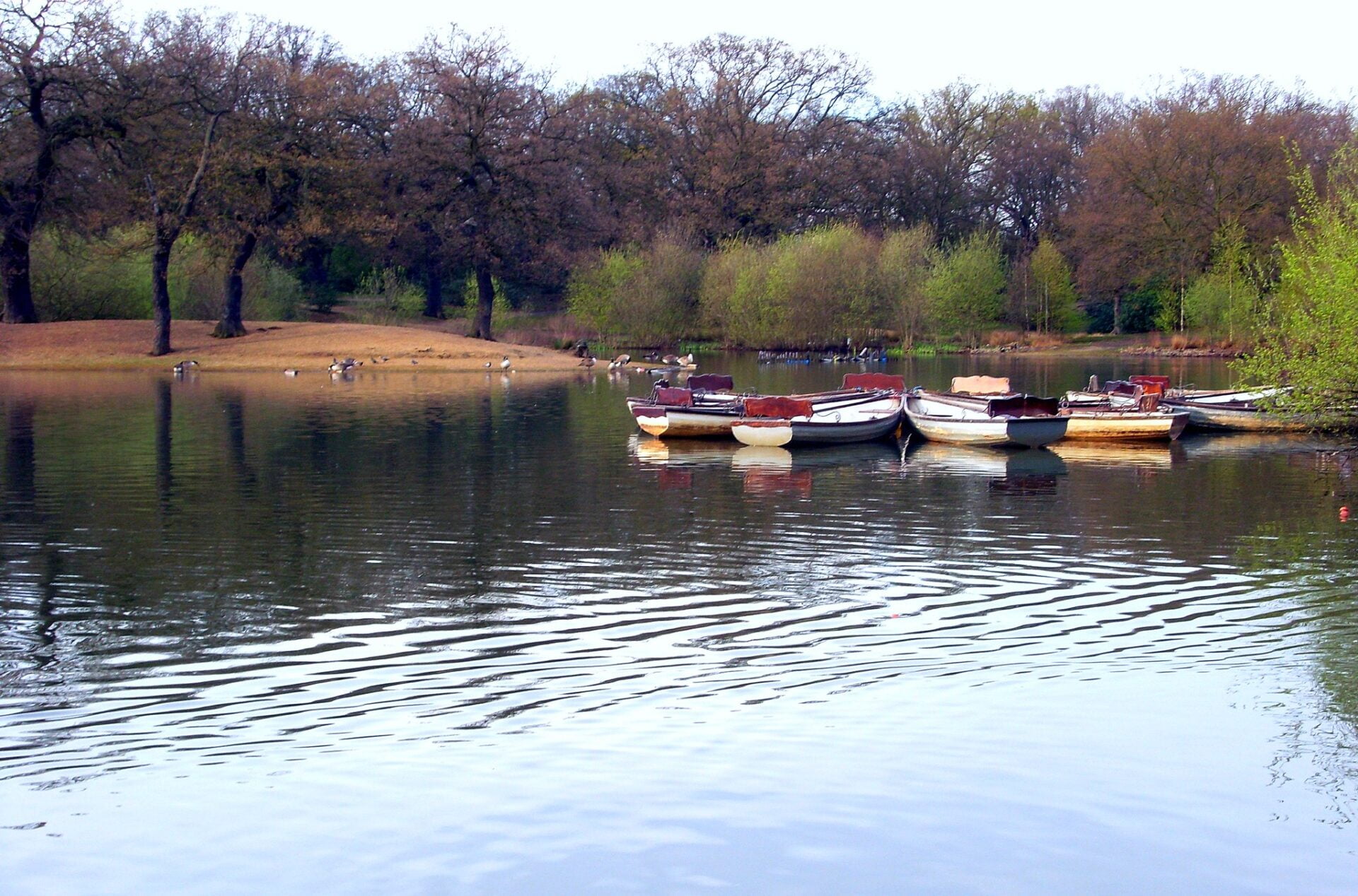 The Best Lakes In London - The Nudge London