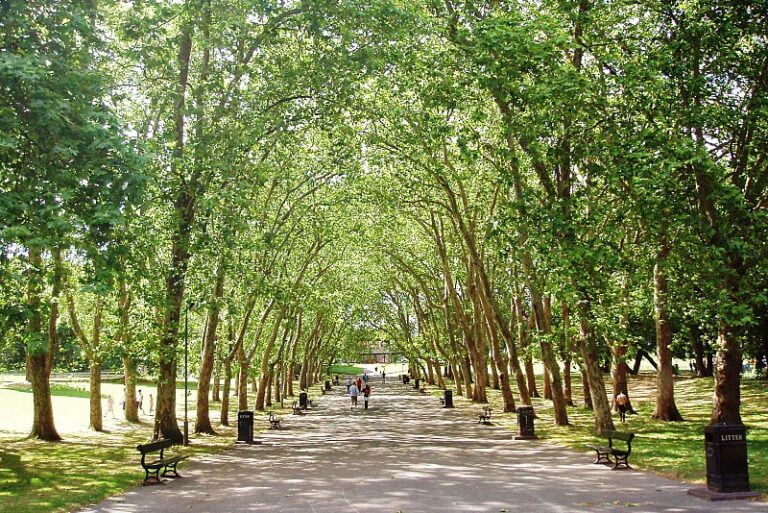 Crystal Palace Park