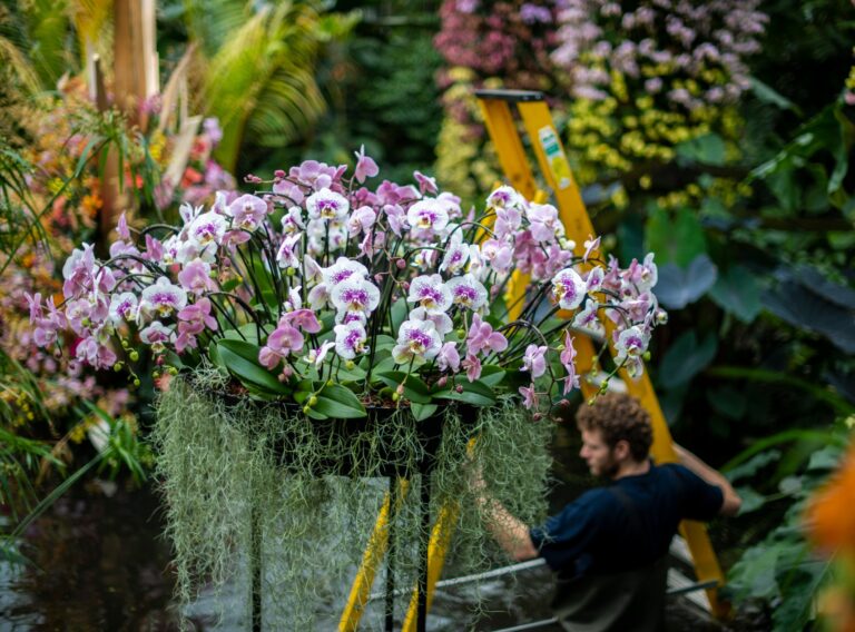 Orchids at Kew