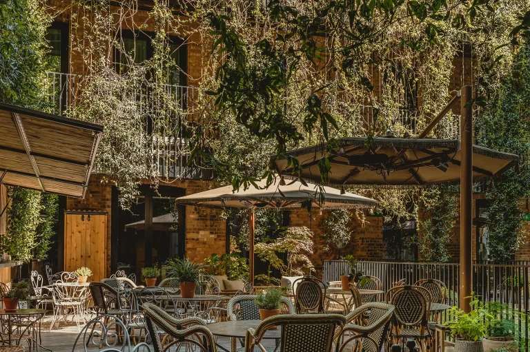 the mandrake hidden courtyard restaurant