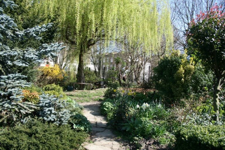 culpeper-community-garden