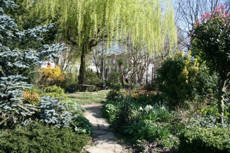 culpeper community garden