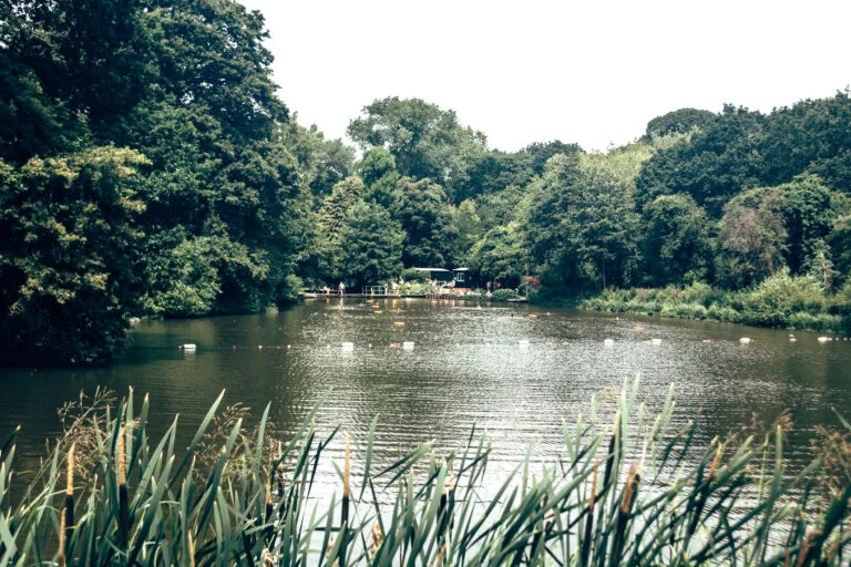 Hampstead Heath Ponds_phaustov