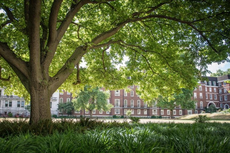 Glasshouse Yoga at Ravenscourt Park's Secret Garden - London Tickets