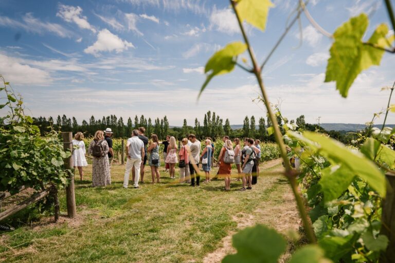 Best Vineyards in the UK: Nyetimber