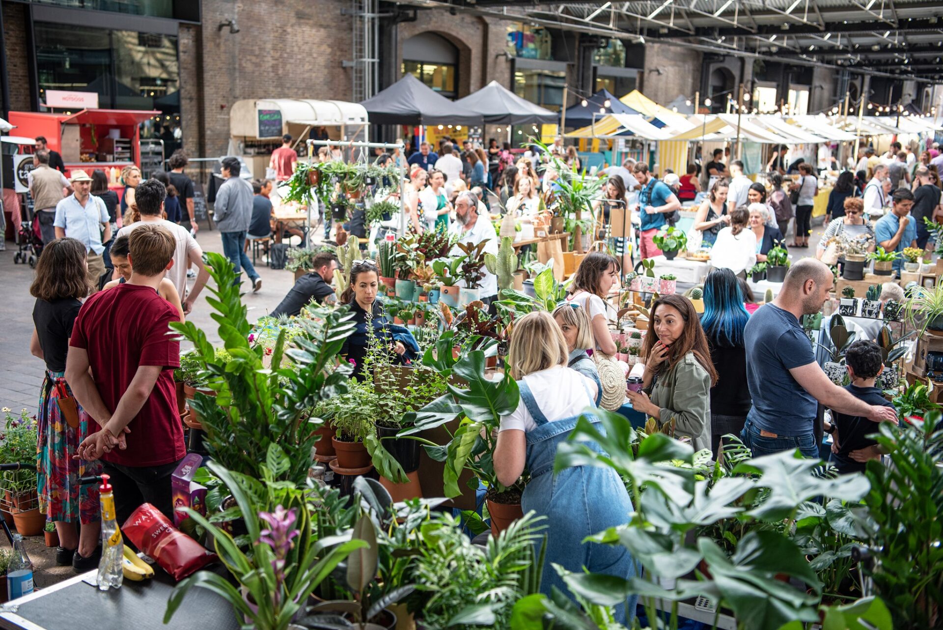 Green Rooms Market