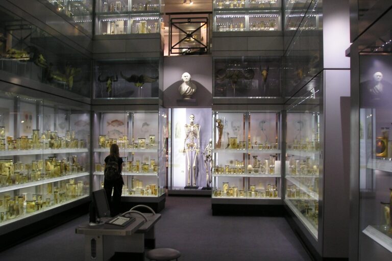 hunterian museum holborn