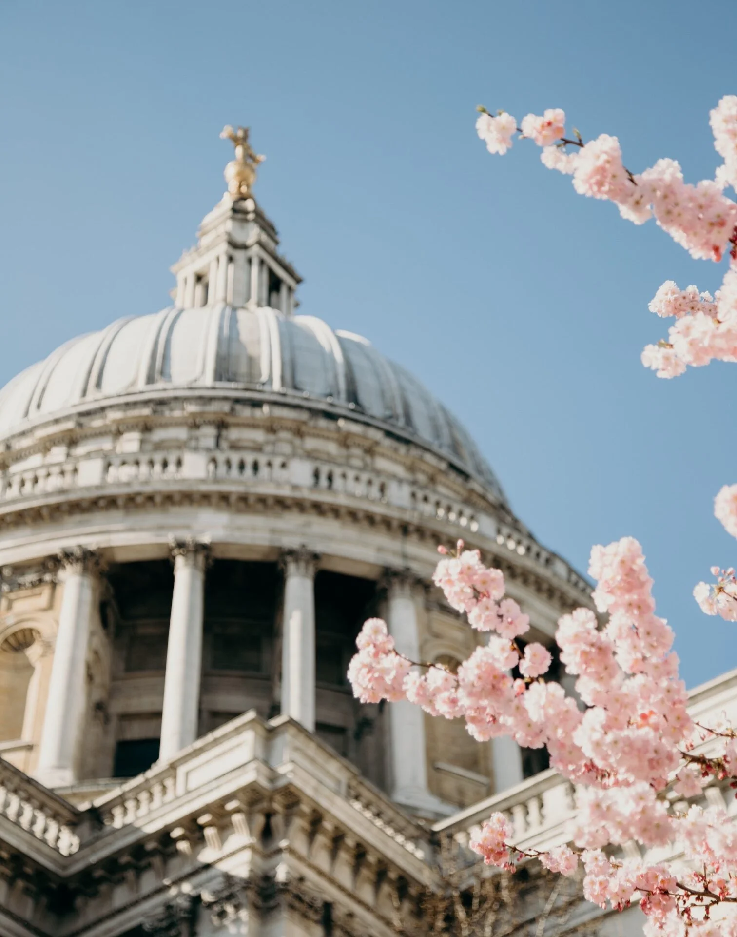 10 Walking Tours That Are Actually Good
