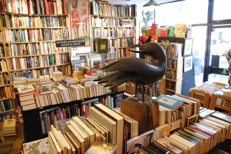 Black gull bookshop