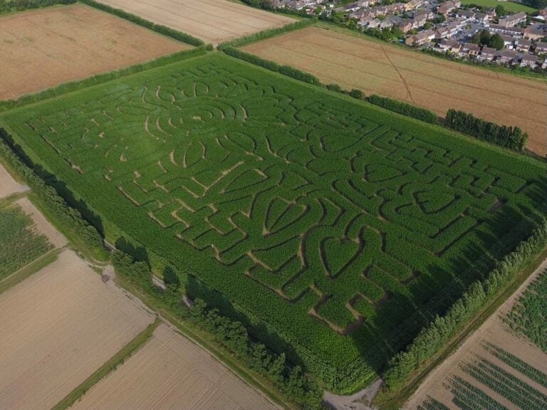 stanhill pyo farm near london