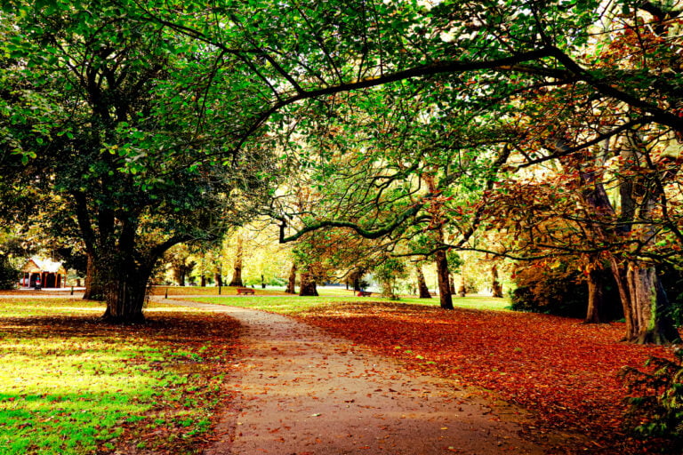 Battersea Park in the autumn 