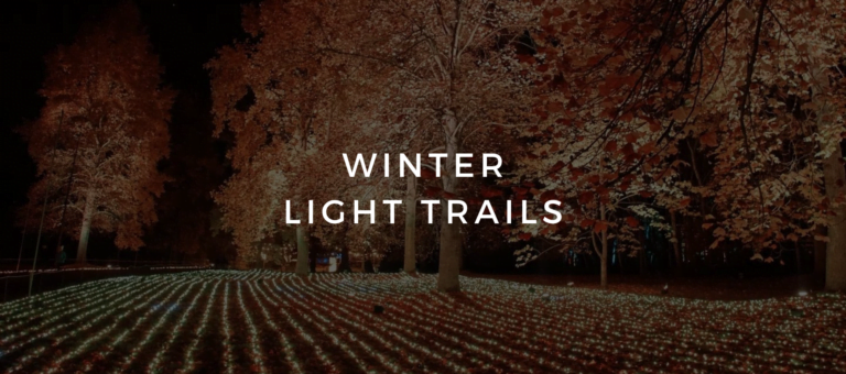winter light trails in london 2023