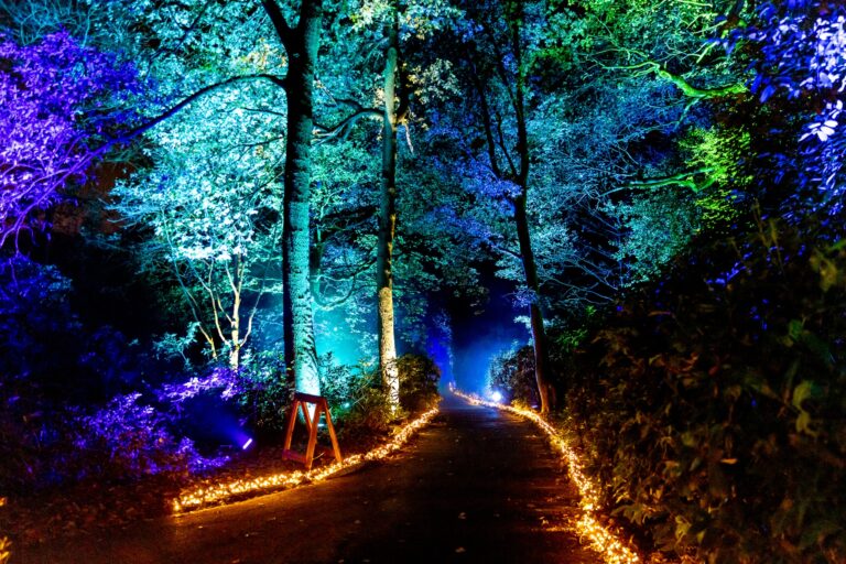 christmas at kenwood light trail