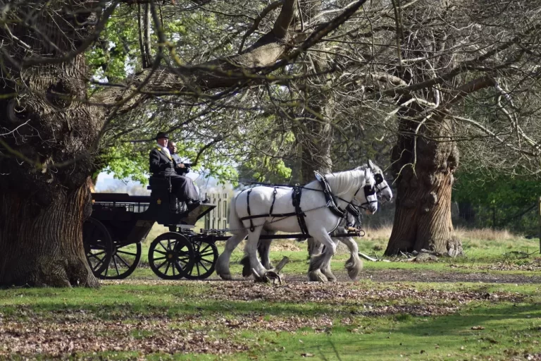 romantic winter date in richmond park