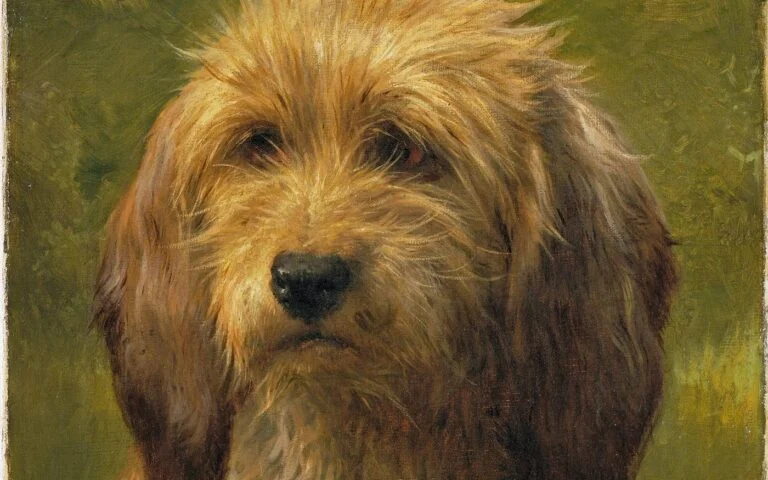 Portraits of Dogs