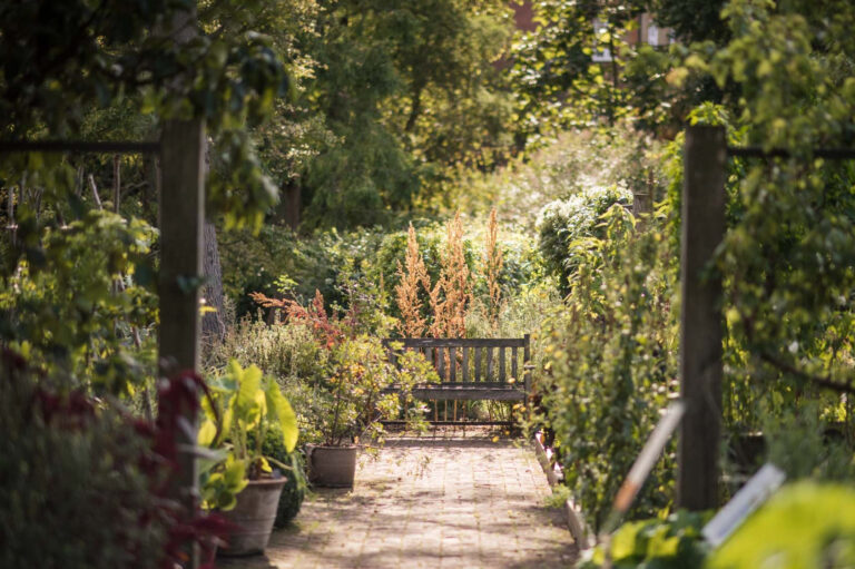 chelsea physic garden