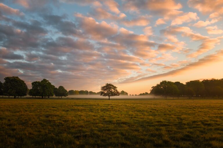 Richmond Park