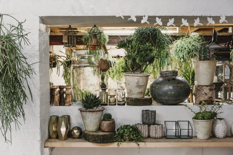 forest plant shop in east dulwich