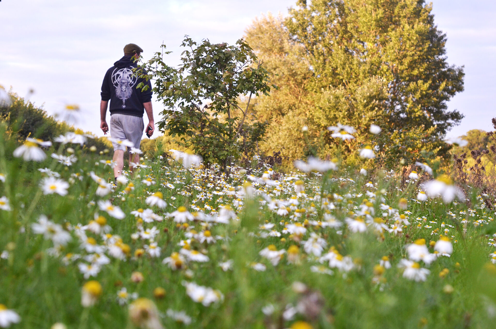 Foraging With Fred