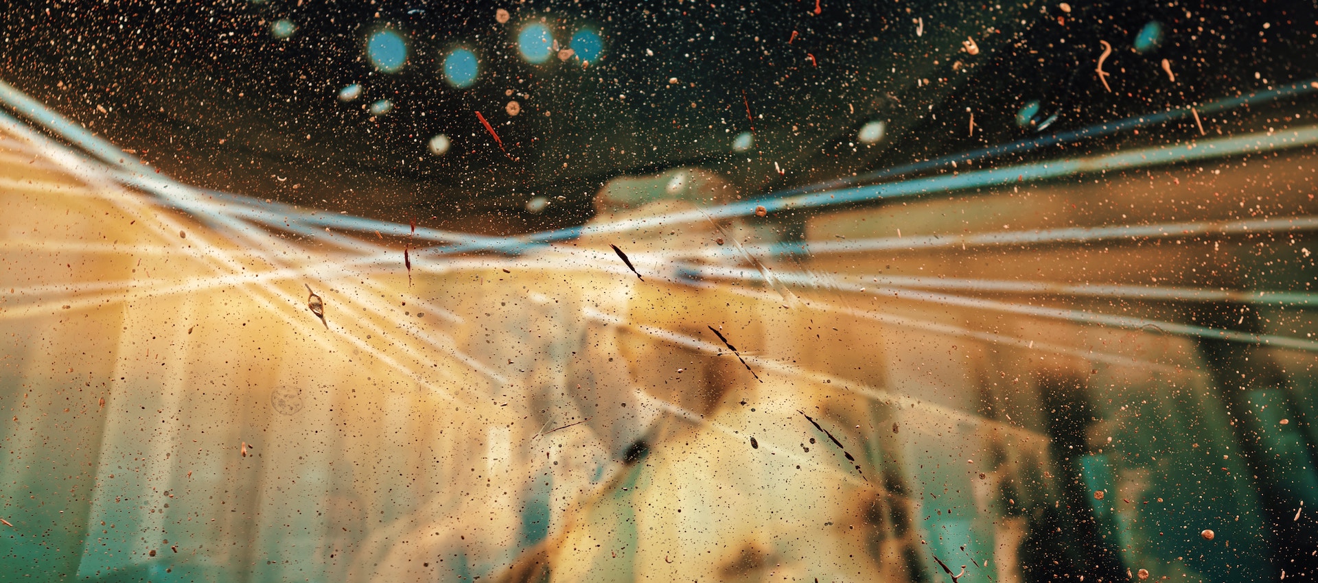 The Nudge Talks: How Psychedelics Can Change The World