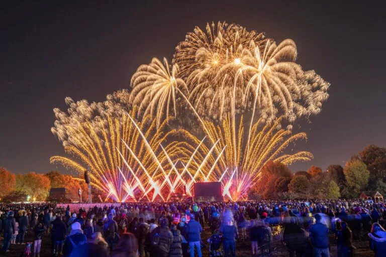 battersea park fireworks night