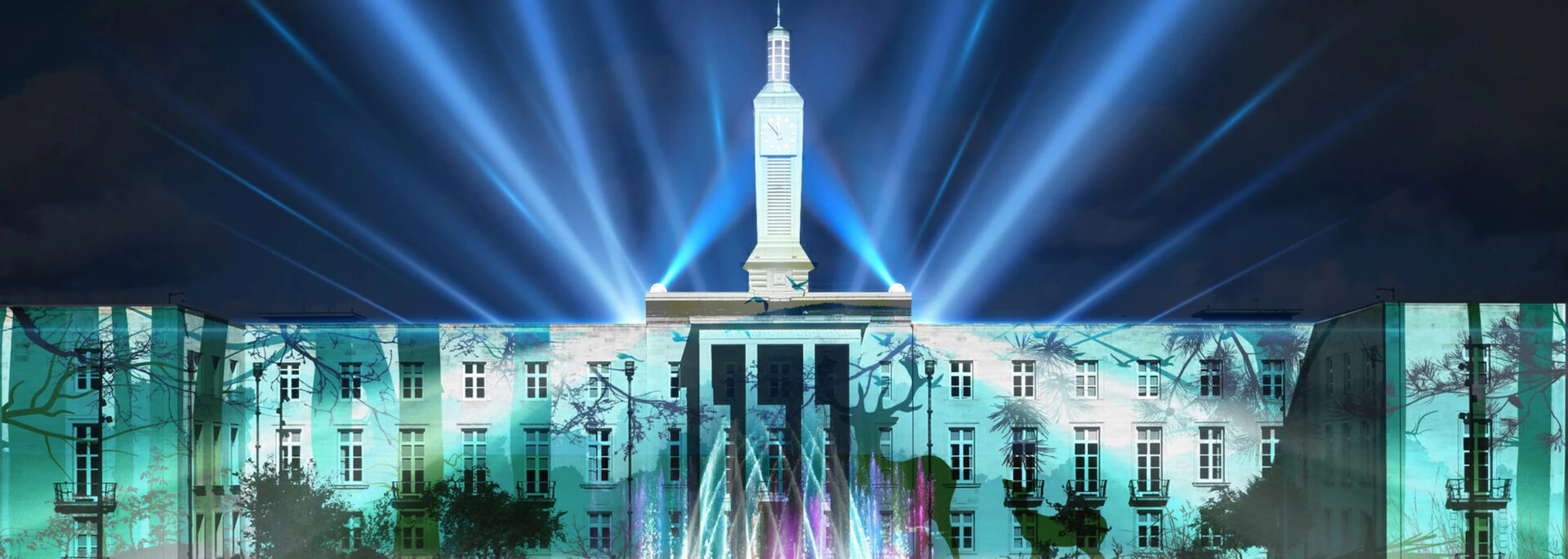 Waltham Forest Light Show Spectacular