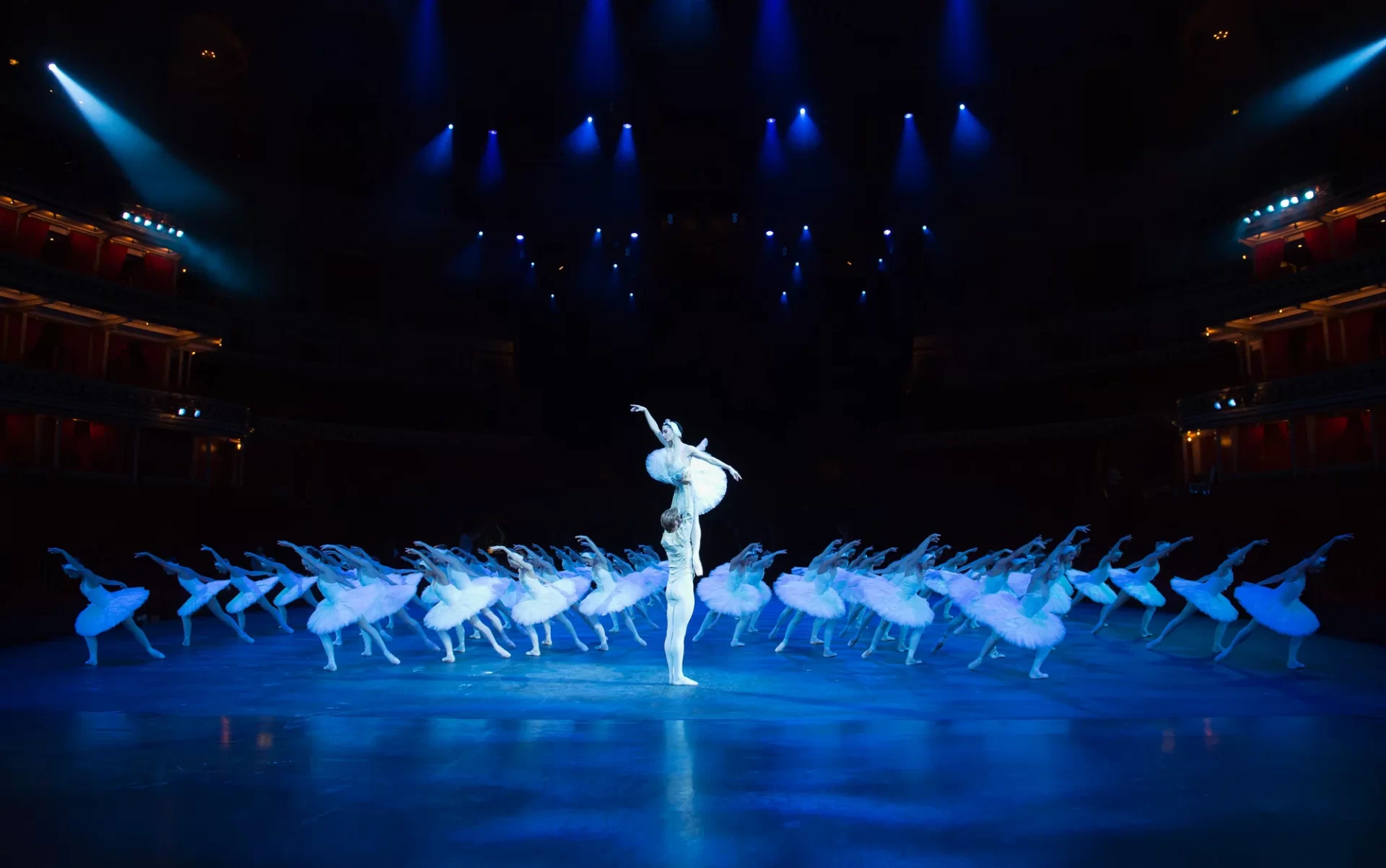 Where To Watch Ballet in London