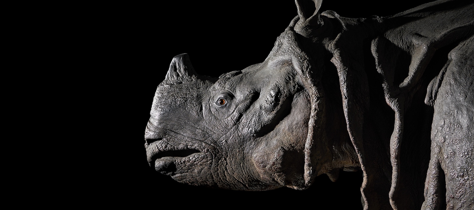 The Best Exhibitions To See In London This March